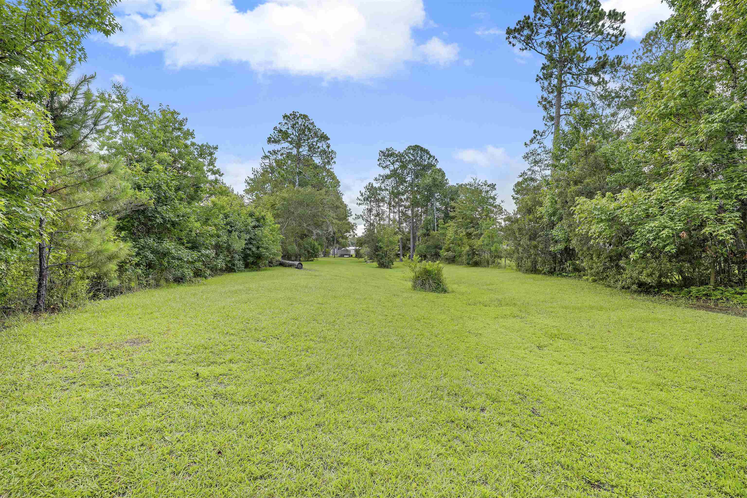4485 Highway 16 St. Augustine, FL 32092 - Photo 9 of 59 a view of a yard with a tree