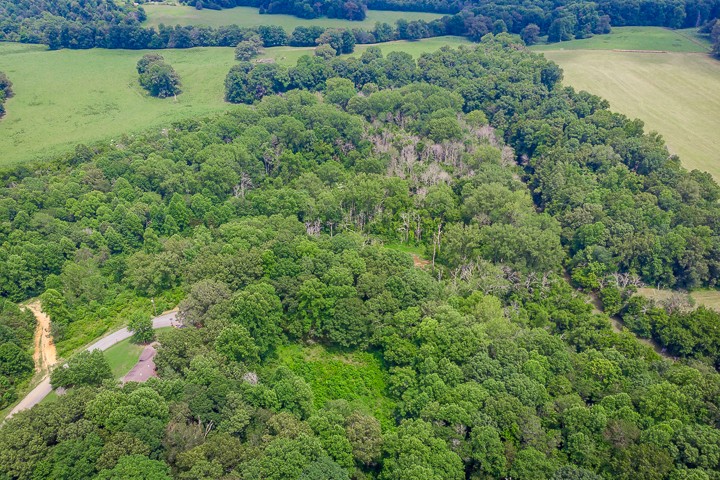 0 River Road Baxter, TN 38544 - Photo 11 of 24 Gallery Image 11