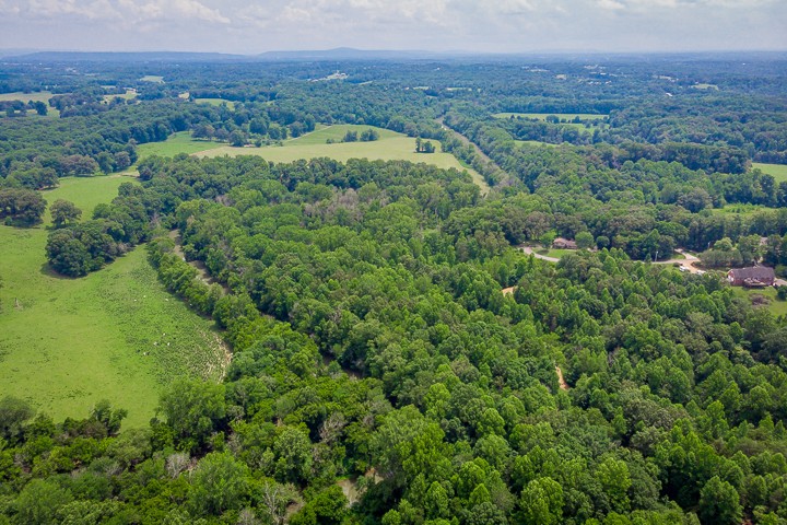 0 River Road Baxter, TN 38544 - Photo 19 of 24 Gallery Image 19