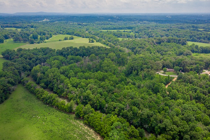 0 River Road Baxter, TN 38544 - Photo 7 of 24 Gallery Image 7