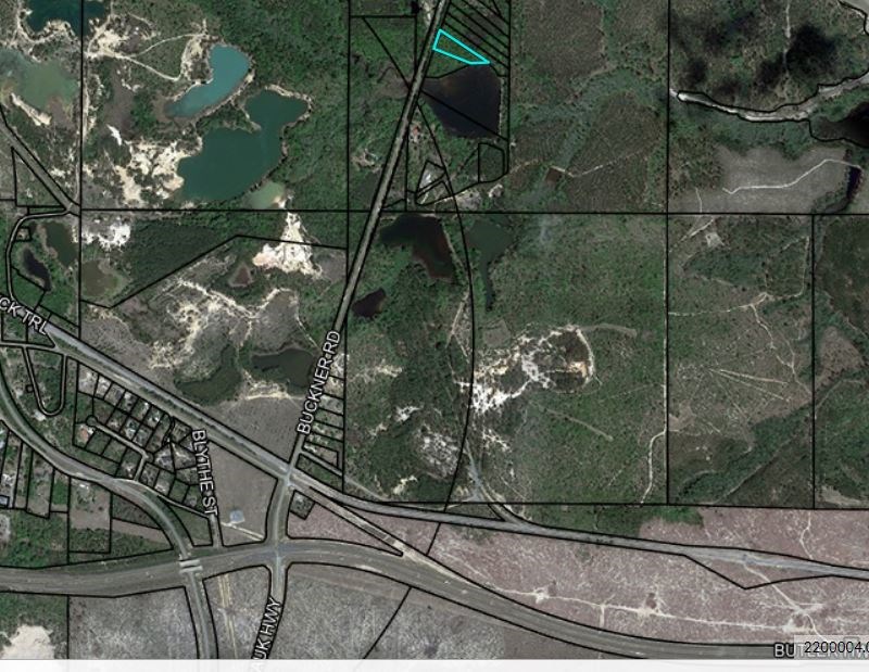 0 Buckner Road Junction City, GA 31812 - Photo 2 of 14 Gallery Image 2
