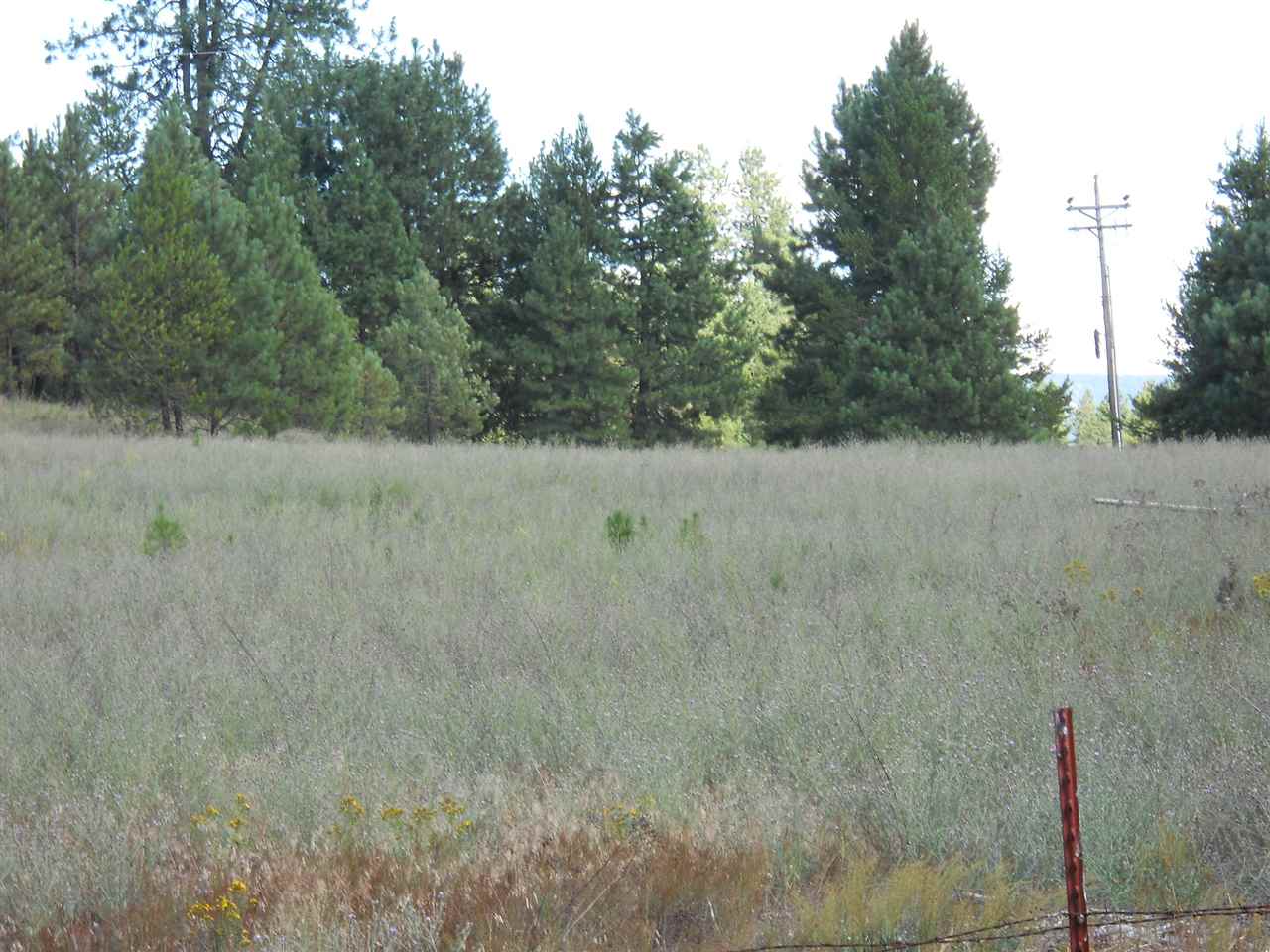 9191 Deer Valley Road Newport, WA 99156 - Photo 3 of 6 Gallery Image 3