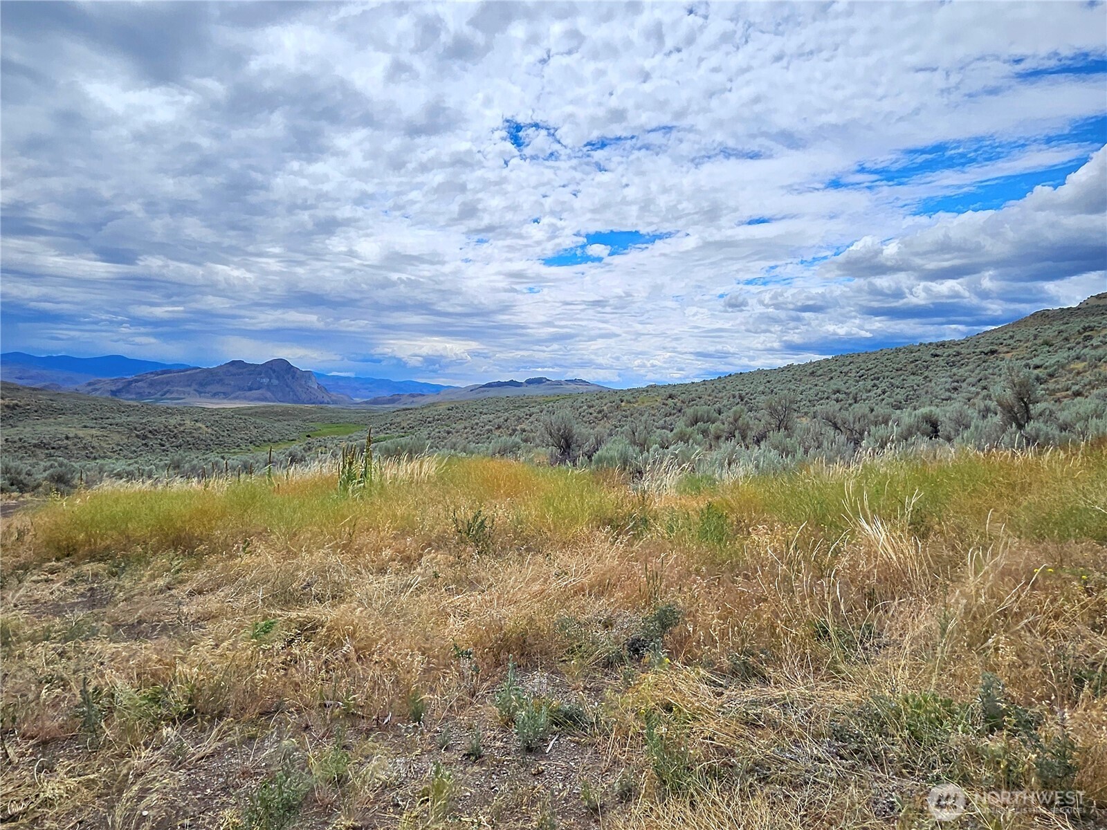 1 Tbd Ping Road Oroville, WA 98844 - Photo 9 of 12