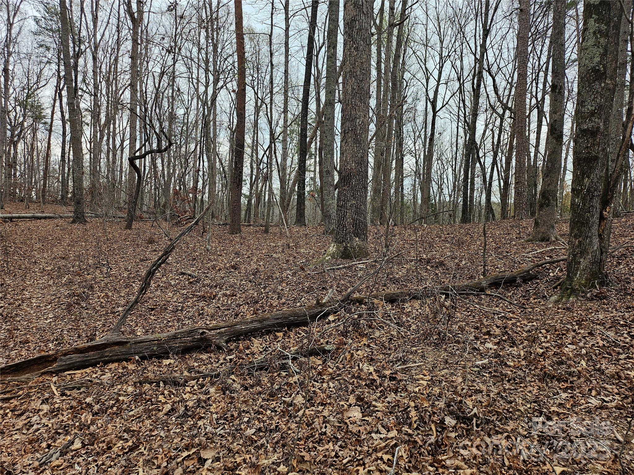 0 Weaver Mill Road Columbus, NC 28722 - Photo 1 of 1