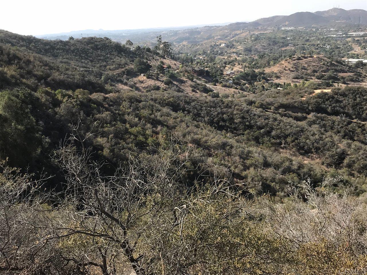 5th Street Fallbrook, CA 92028 - Photo 4 of 10