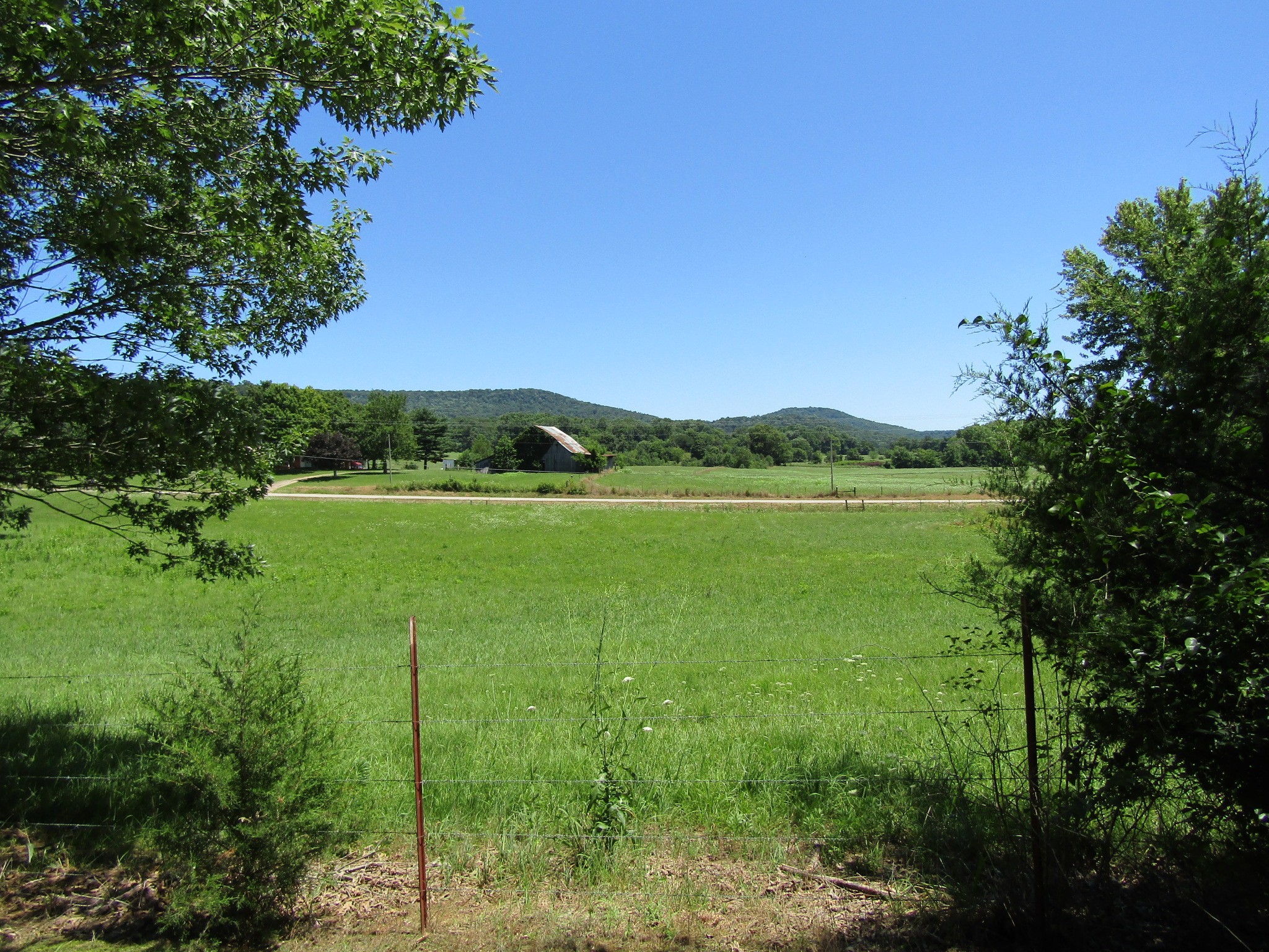 114 Hoosier Road McMinnville, TN 37110 - Photo 6 of 8 Gallery Image 6