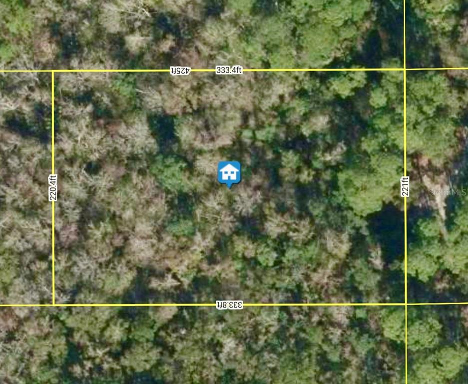 0 182nd Street Southeast Inglis, FL 34449 - Photo 3 of 11 a view of a yard and mountain view from a window