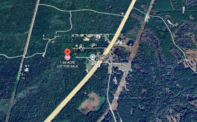 a close up of a plant in a garden