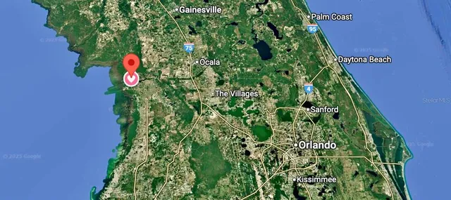 a plant that is in a garden