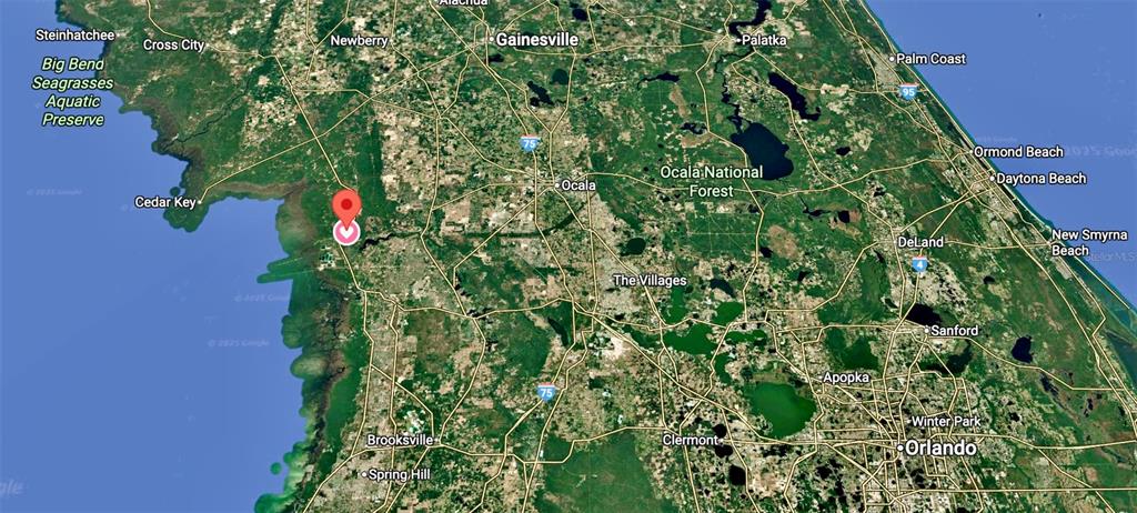 0 182nd Street Southeast Inglis, FL 34449 - Photo 9 of 11 a close up of a plant in a garden