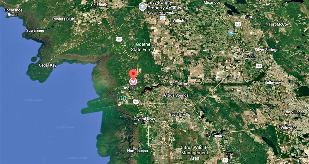 0 182nd Street Southeast Inglis, FL 34449 - Photo 10 of 11 a plant that is in a garden