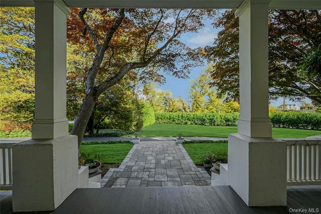 a view of a yard with plants