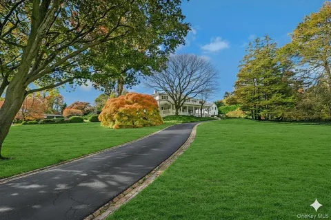a view of a park with large trees