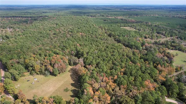 a view of a forest with a forest