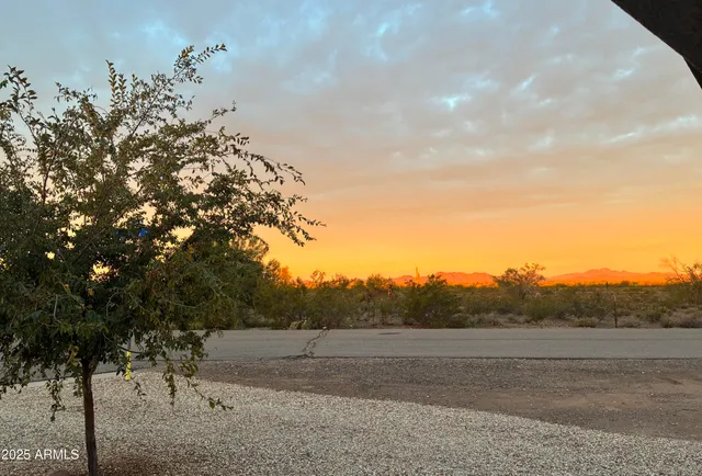 a view of dirt field with trees