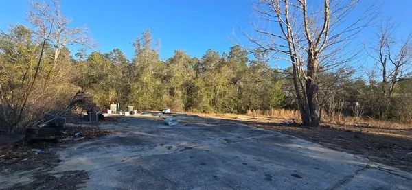 a view of a yard with trees in front of it