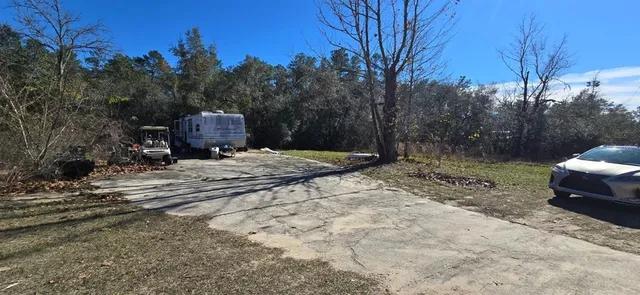 a view of a backyard with trees