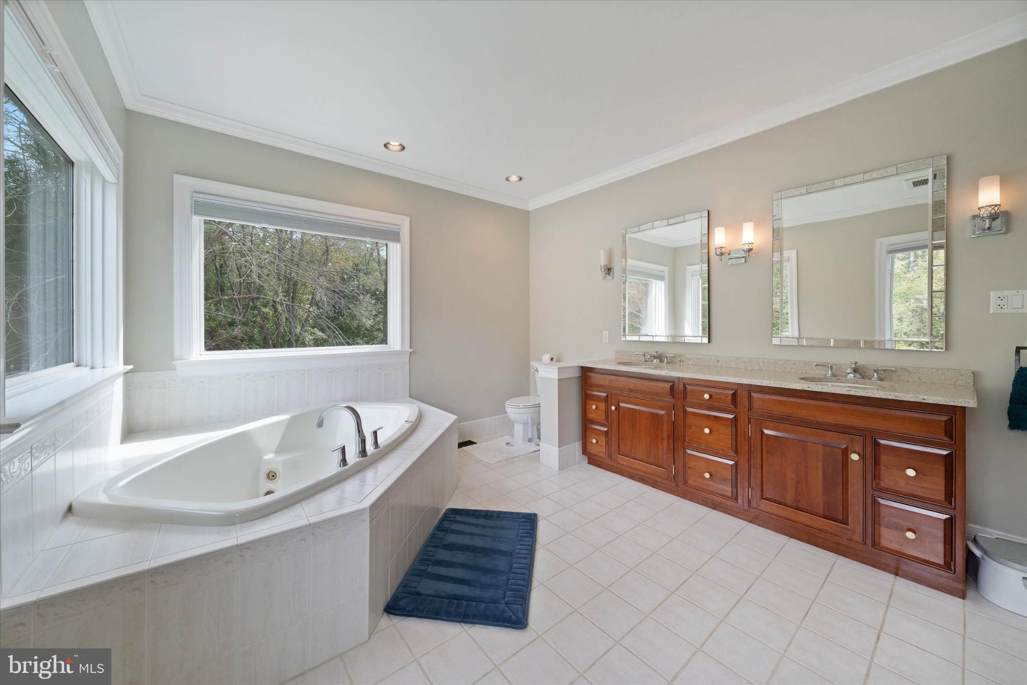 1540 Fairville Road Chadds Ford, PA 19317 - Photo 36 of 86 a spacious bathroom with a tub sink and mirror