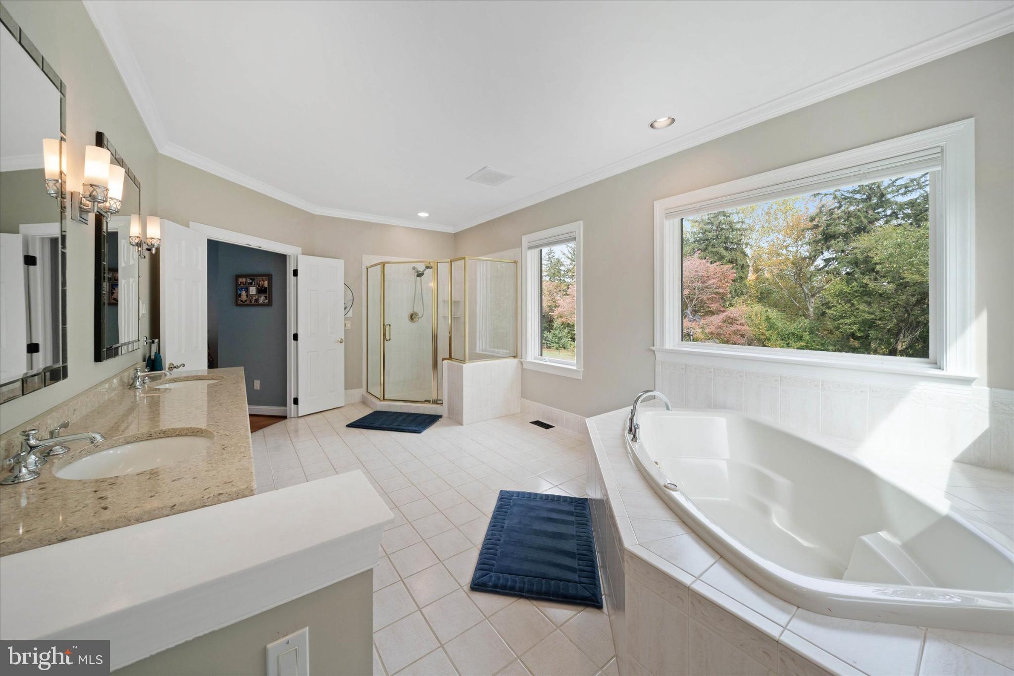 1540 Fairville Road Chadds Ford, PA 19317 - Photo 39 of 86 Spacious bathroom with serene natural views.