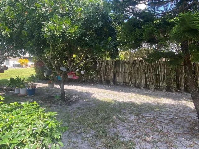 a view of backyard with tree