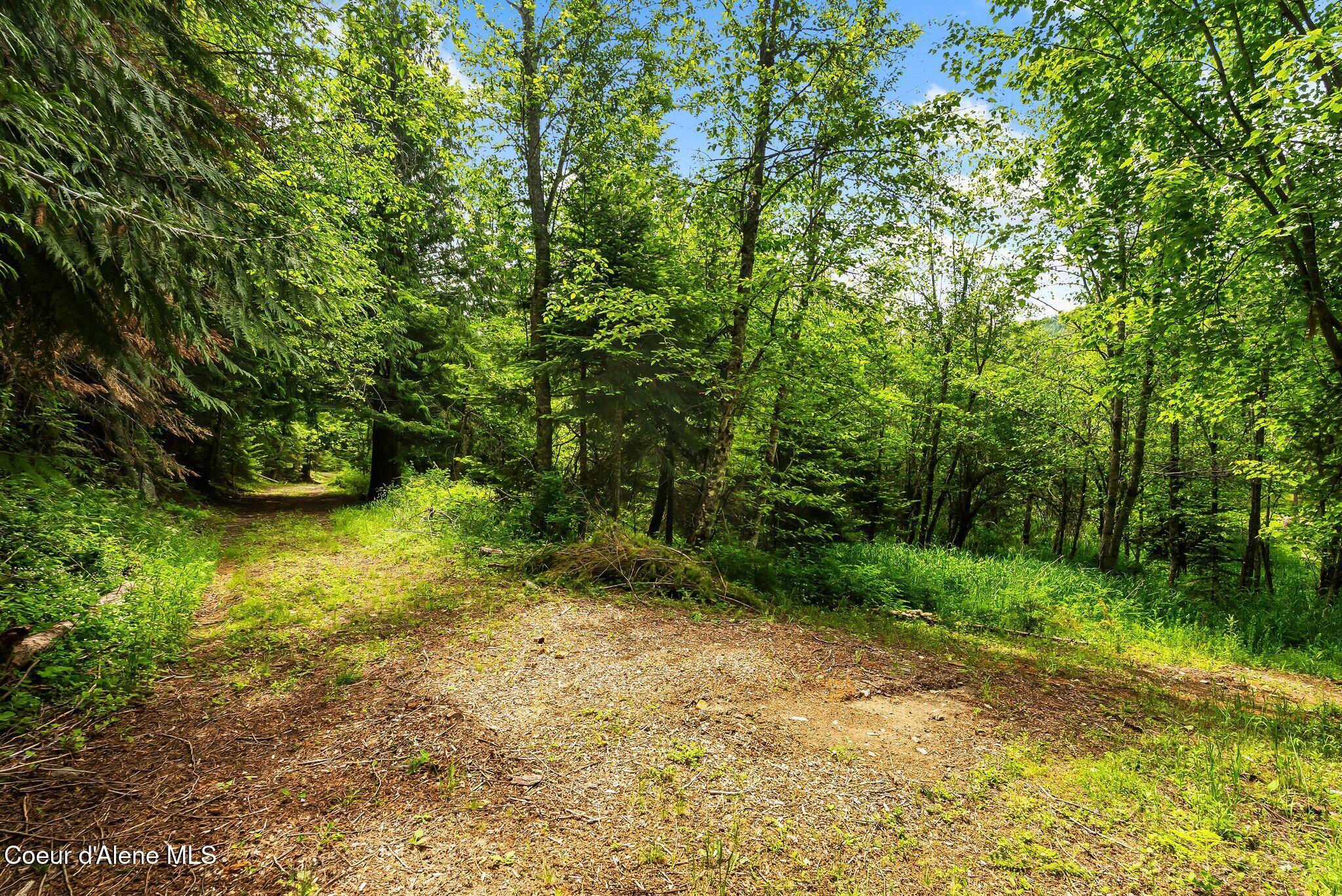 74 Eureka Road Sagle, ID 83860 - Photo 88 of 102 Trails