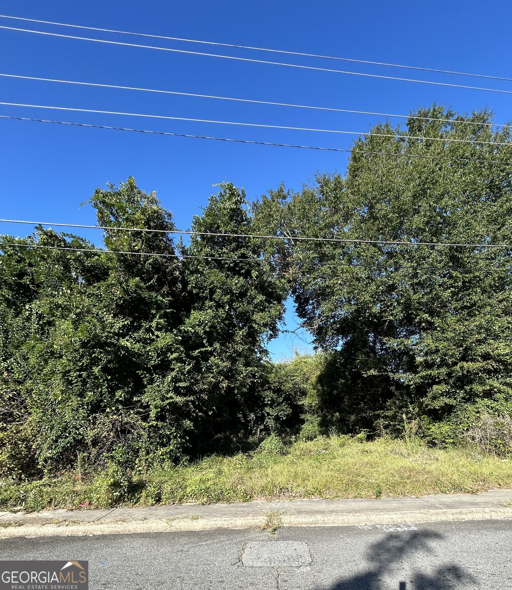 734 Fort Hill Street Macon, GA 31217 - Photo 2 of 5