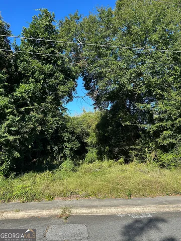 $9,000 | 734 Fort Hill Street, Macon, GA 31217