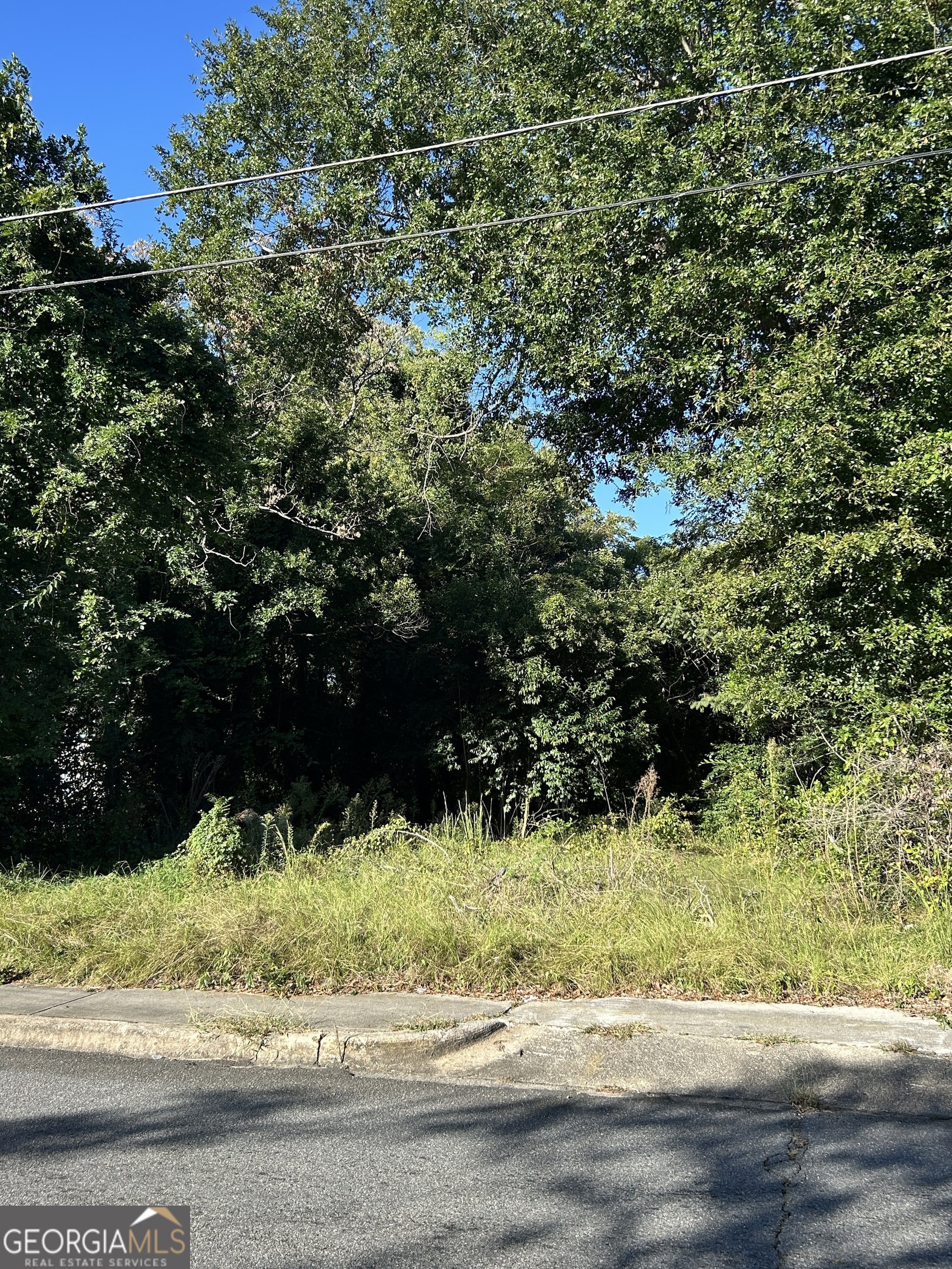 734 Fort Hill Street Macon, GA 31217 - Photo 4 of 5