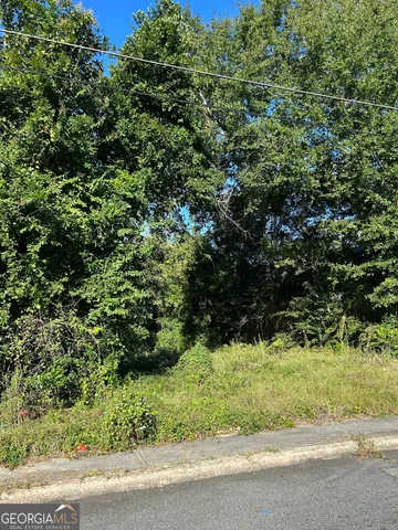 $9,000 | 734 Fort Hill Street, Macon, GA 31217