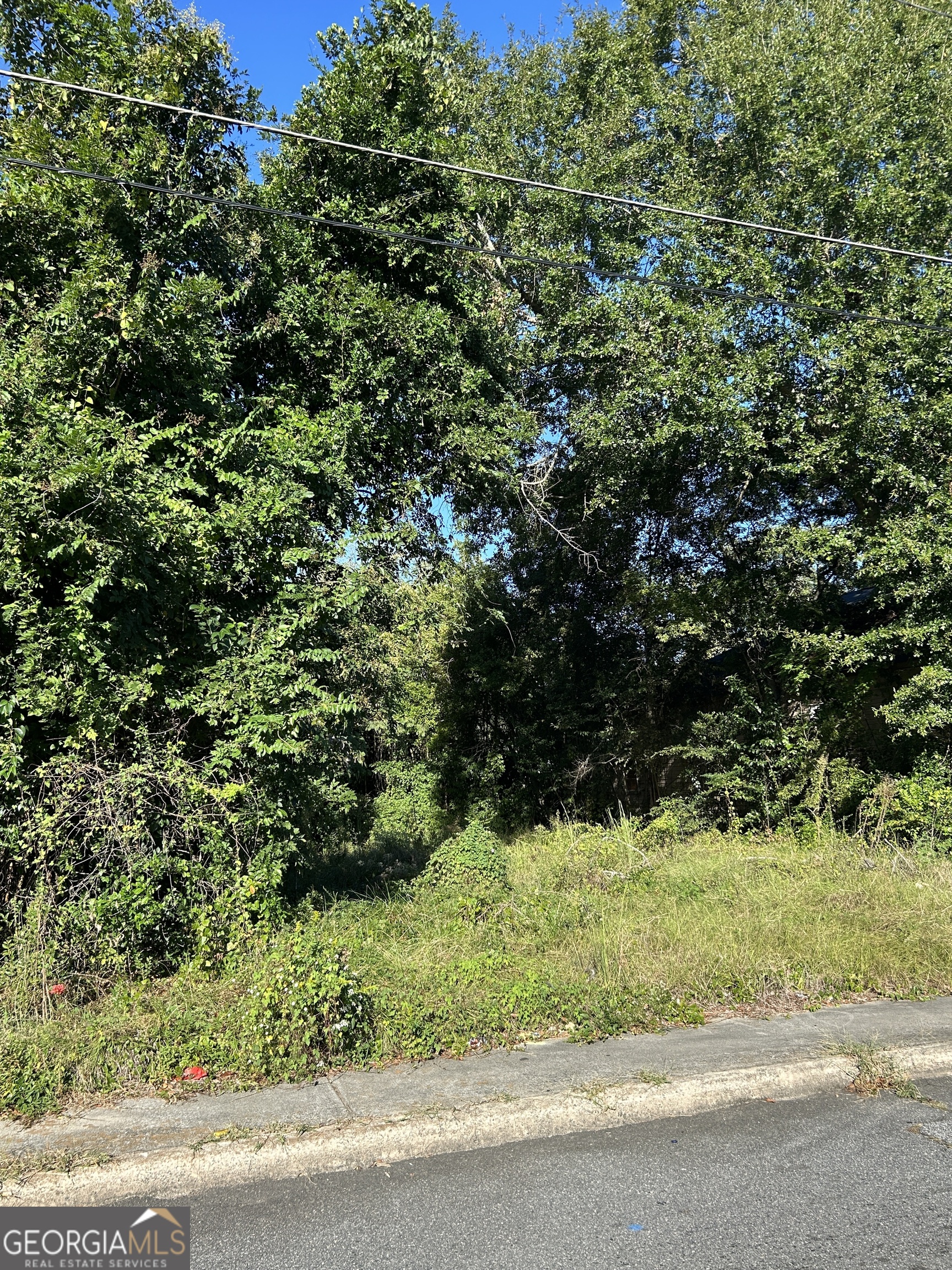 734 Fort Hill Street Macon, GA 31217 - Photo 5 of 5