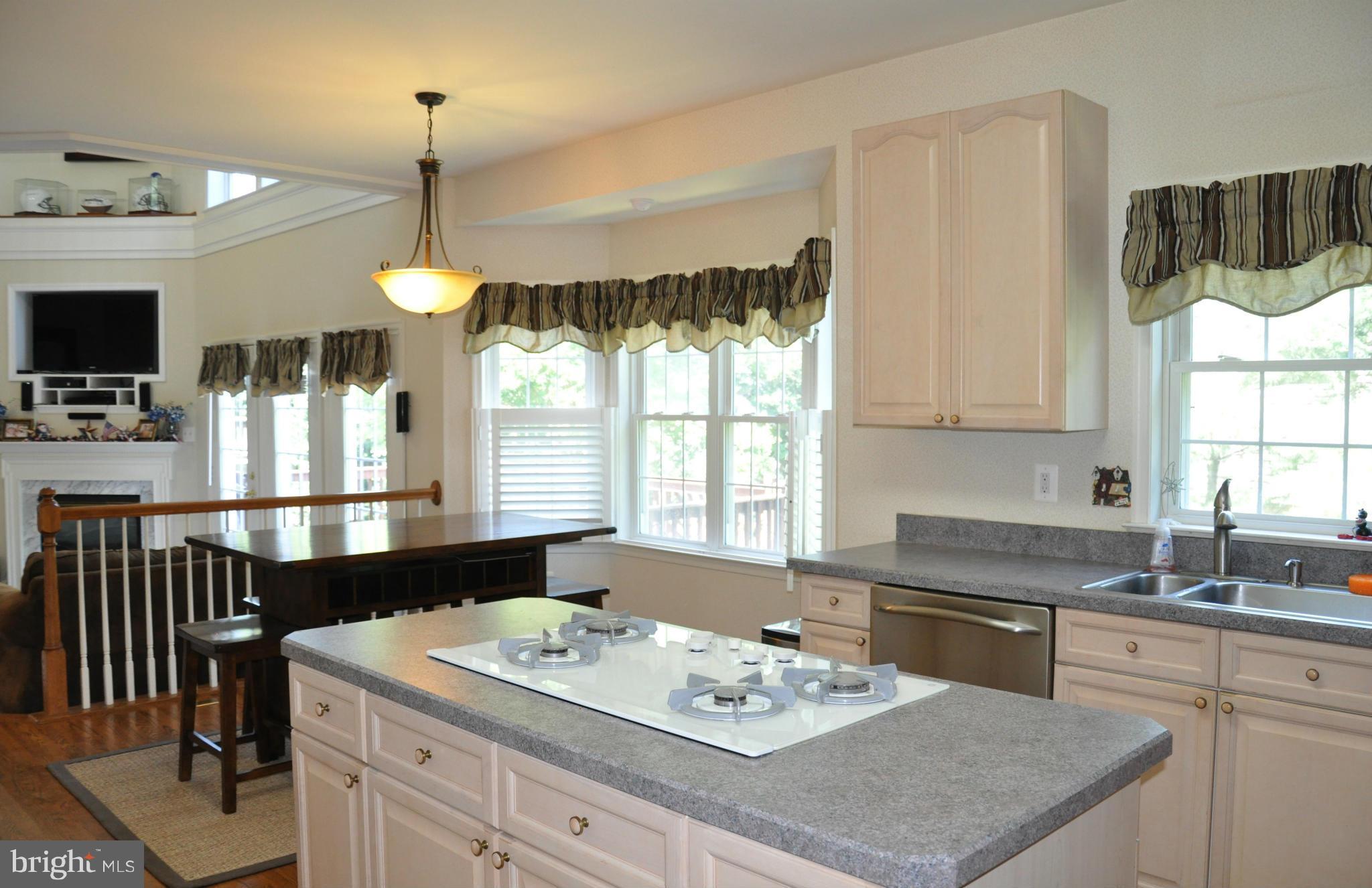 2585 Bear Den Road Frederick, MD 21701 - Photo 15 of 30 a kitchen with a sink stove and microwave