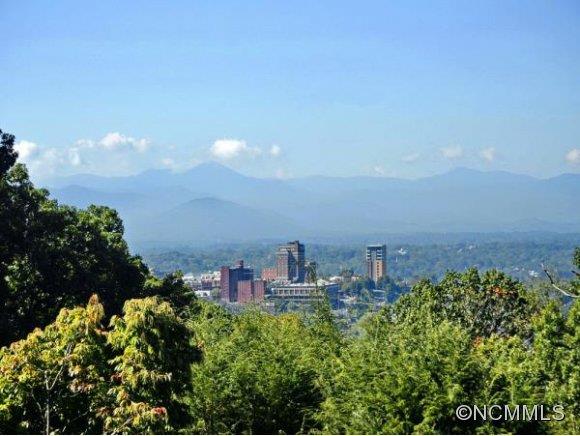 184 Cherokee Road Asheville, NC 28804 - Photo 7 of 19 Gallery Image 7