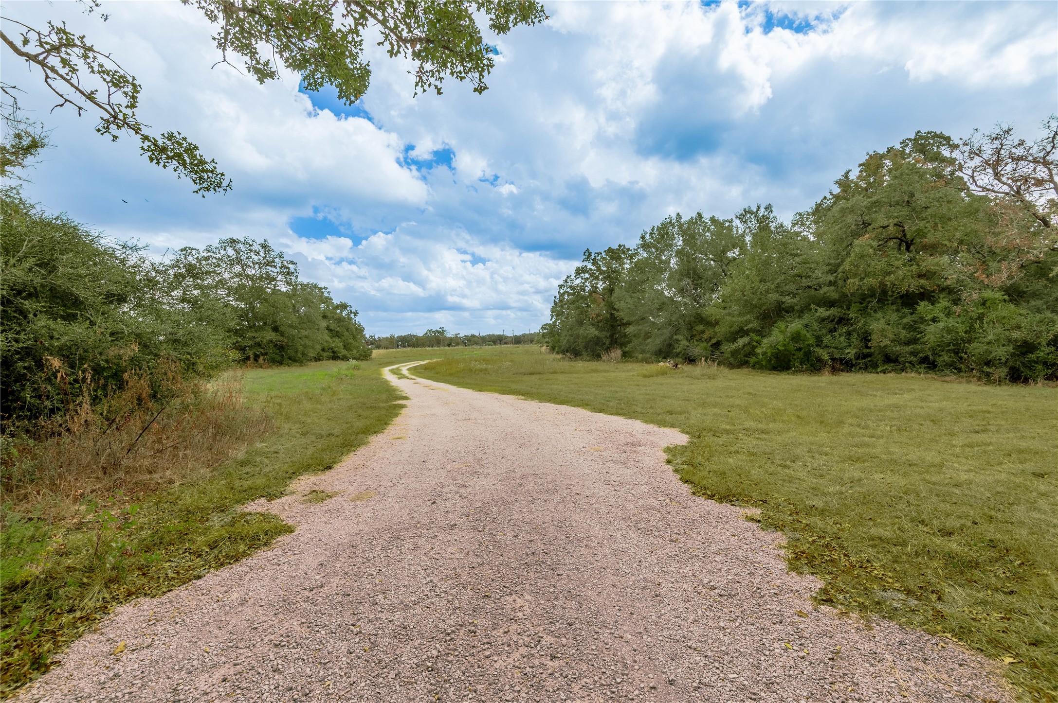 2803 Fm 2158 Midway, TX 75852 - Photo 39 of 49 a view of a lake with a big yard