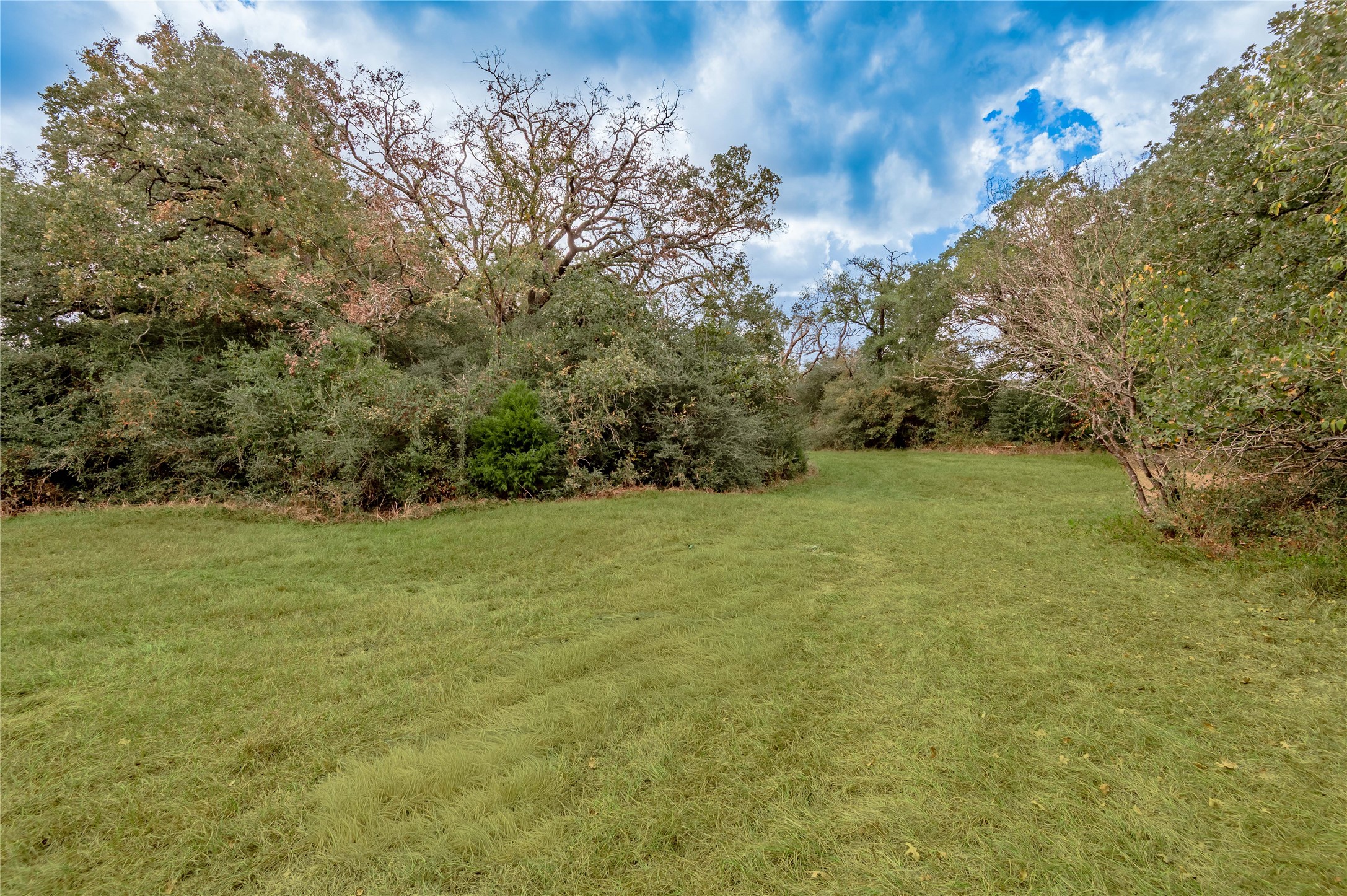 2803 Fm 2158 Midway, TX 75852 - Photo 41 of 49 a view of a field with an trees