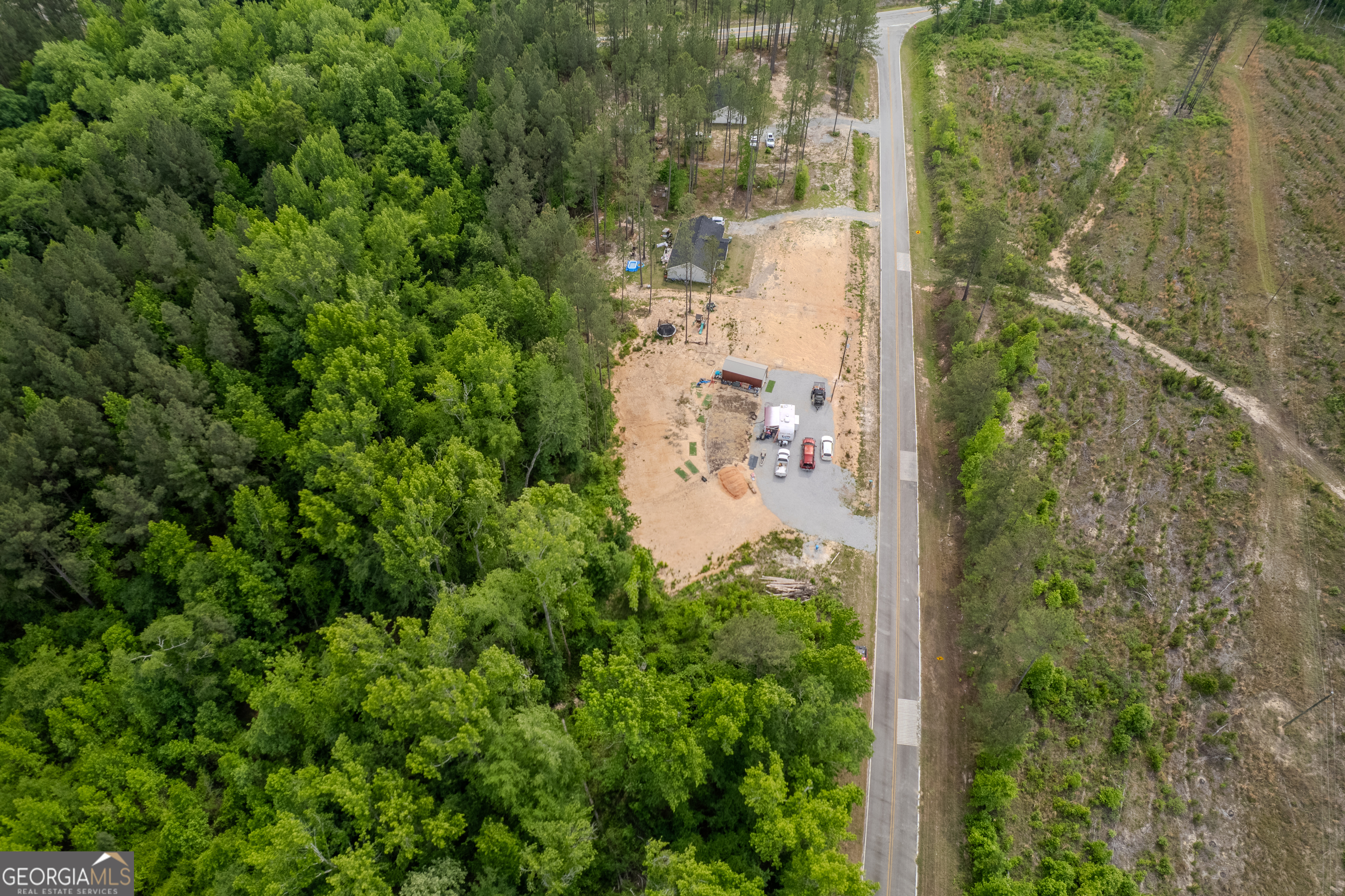 Lot 1 County Line Road Mitchell, GA 30820 - Photo 11 of 12