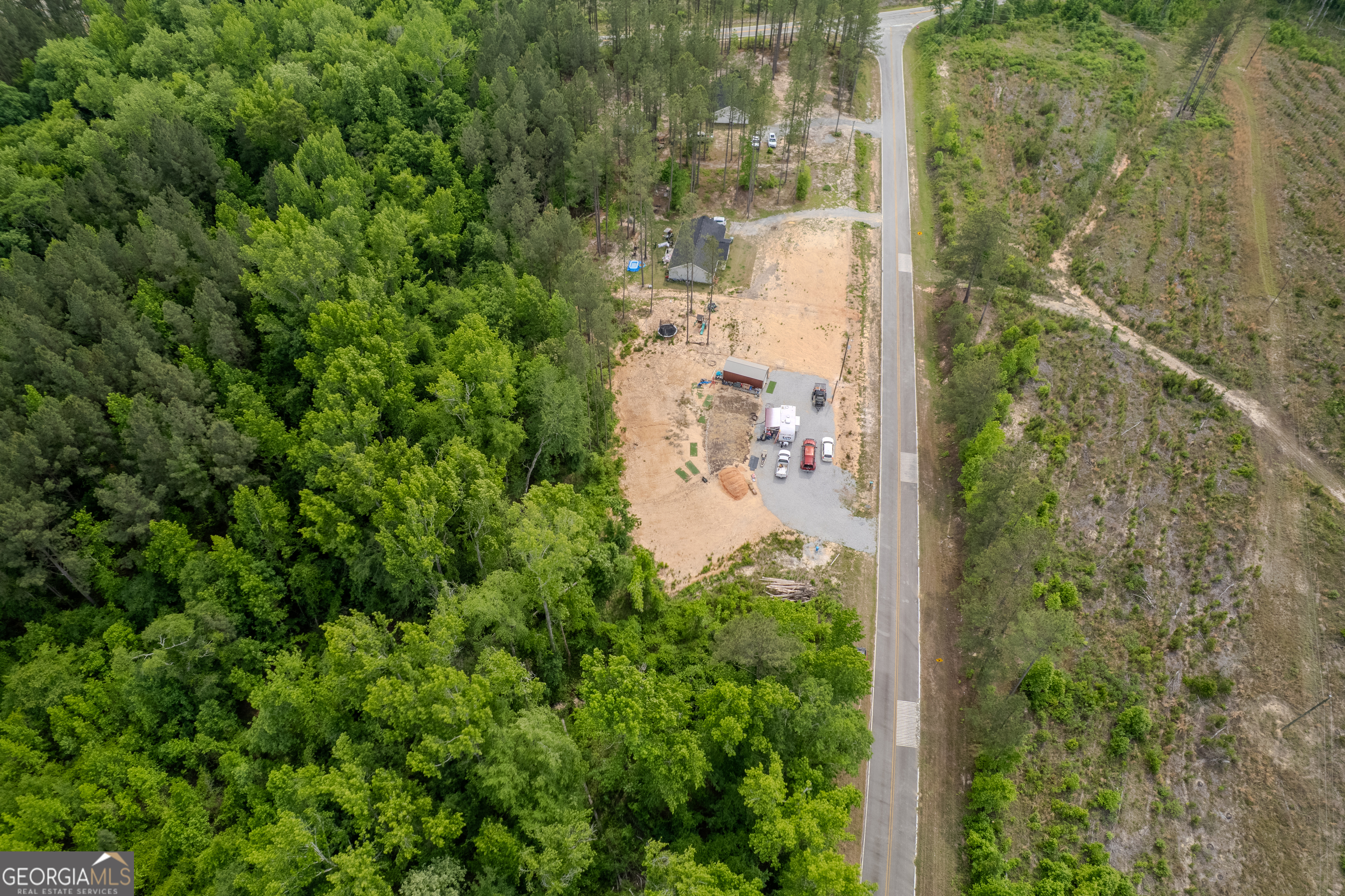 Lot 1 County Line Road Mitchell, GA 30820 - Photo 10 of 12