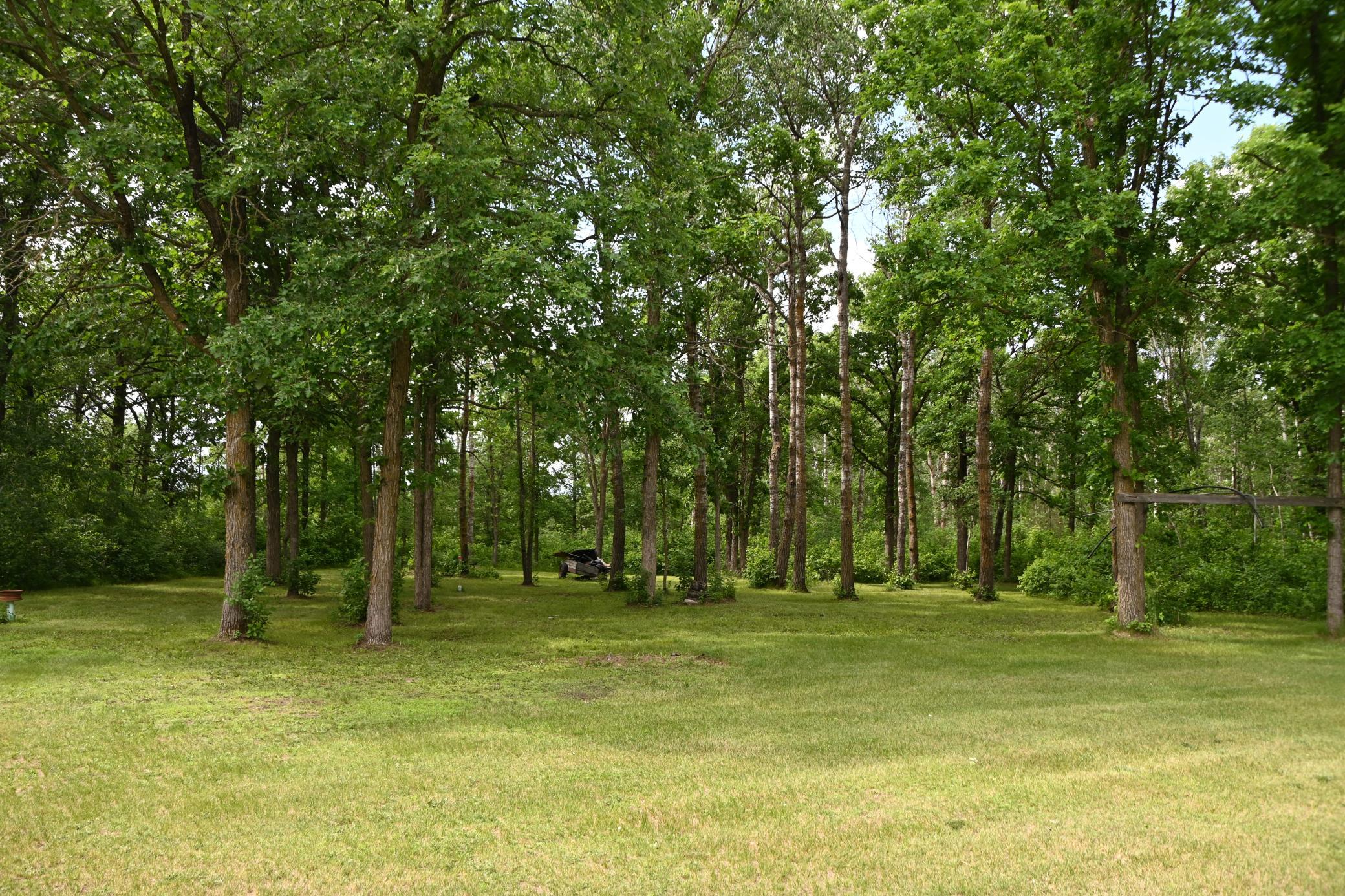 481 East River Road Motley, MN 56466 - Photo 12 of 24