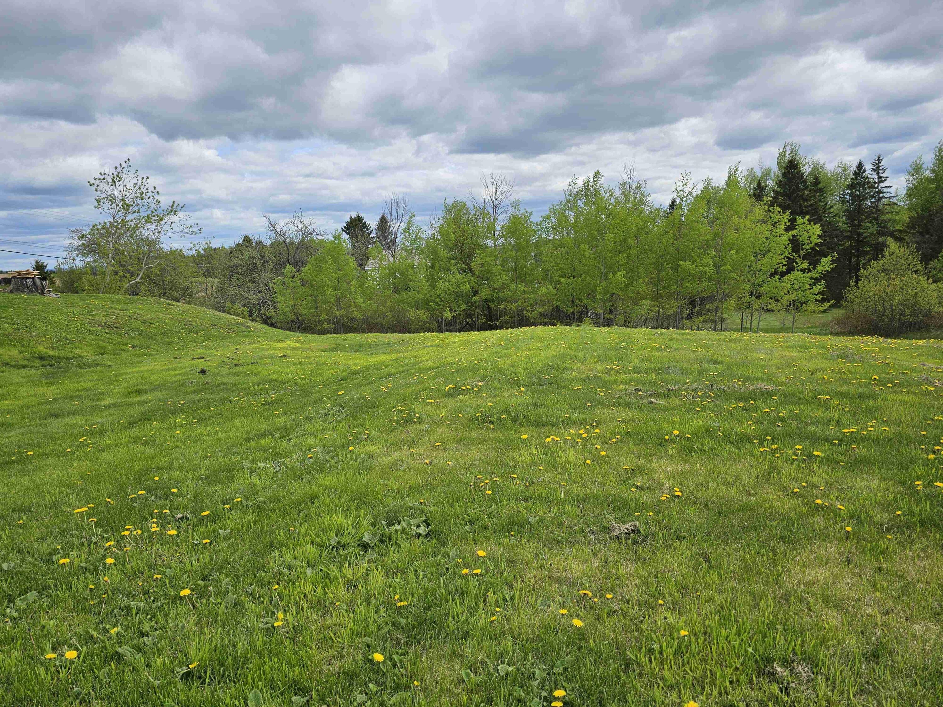 393 Main Street Limestone, ME 04750 - Photo 28 of 32 20250522_145540.SMALL