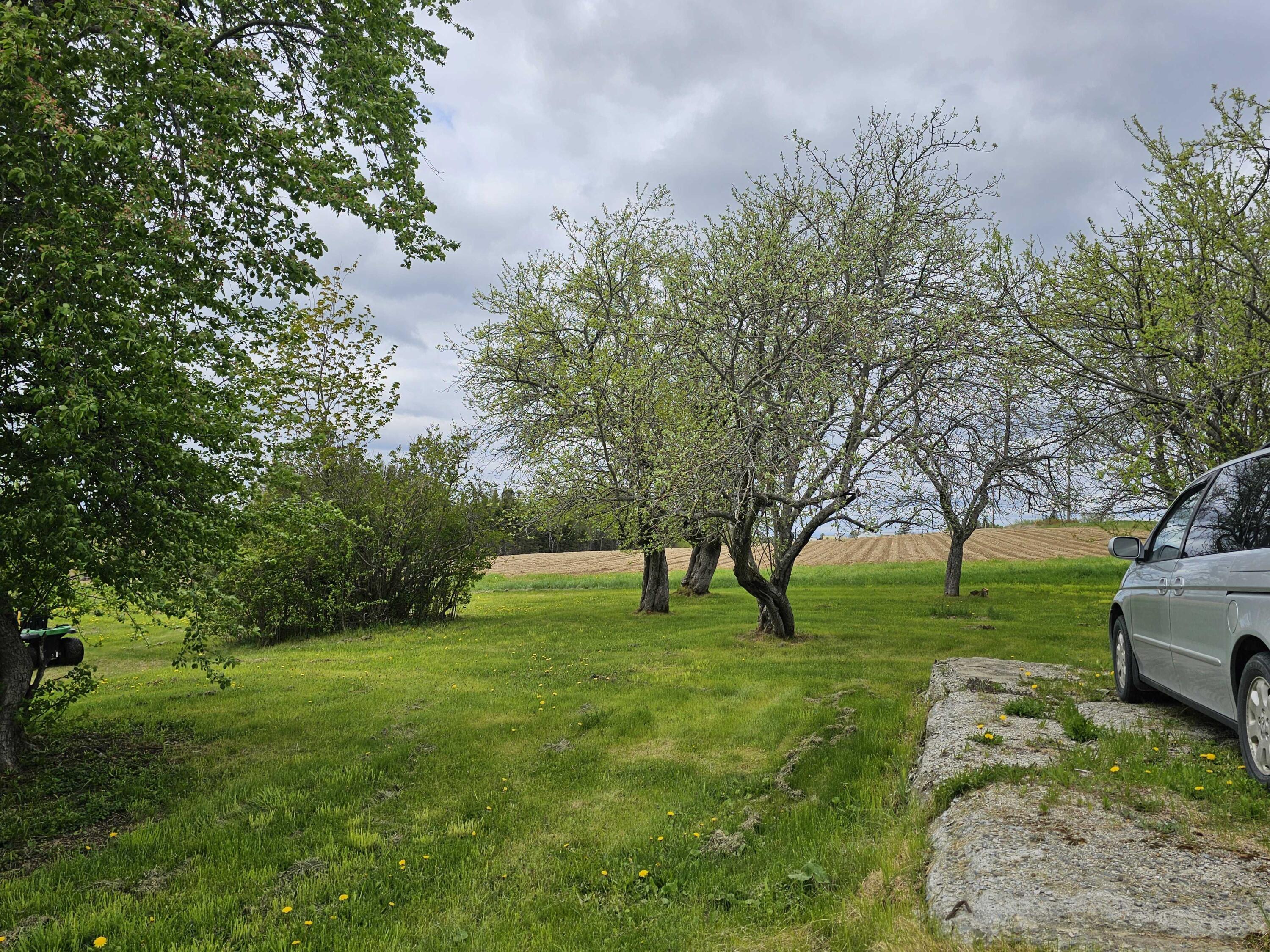 393 Main Street Limestone, ME 04750 - Photo 31 of 32 20250522_145724.MEDIUM