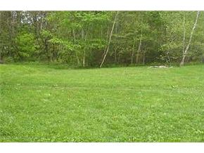 Lot 40 True Road Meredith, NH 03253 - Photo 5 of 7 Gallery Image 5