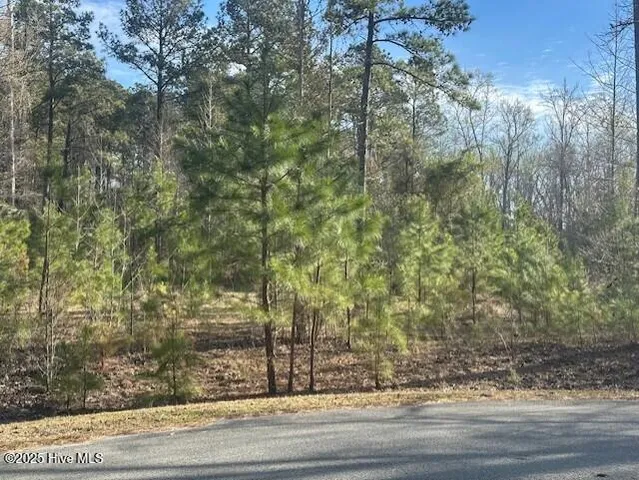 $150,000 | 607 Pamlico River Drive, Washington, NC 27889