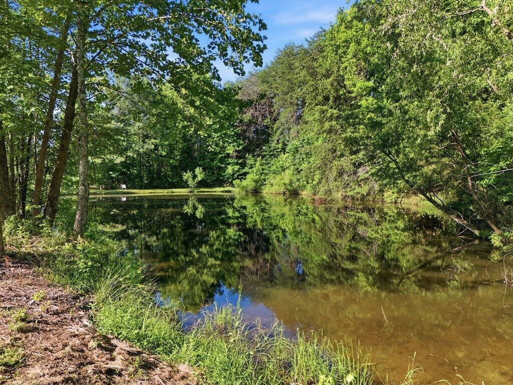 350 Piney Point Road Spring City, TN 37381 - Photo 69 of 82