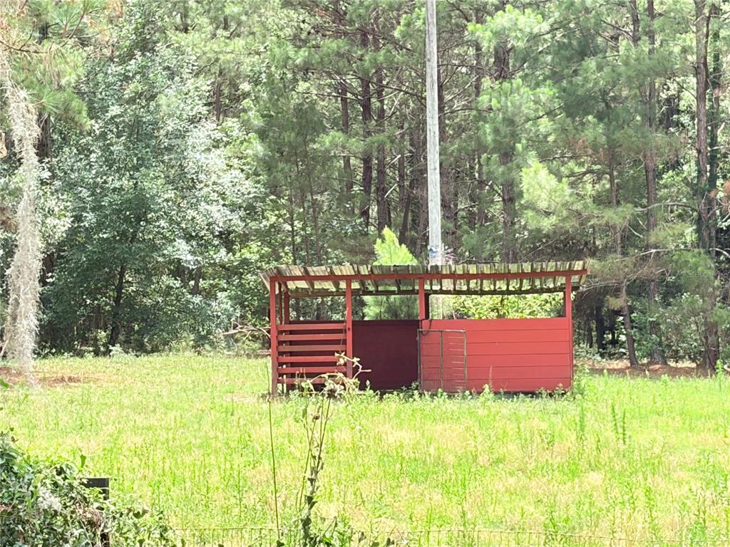 17900 Northwest 120th Avenue Road Reddick, FL 32686 - Photo 4 of 45 a view of outdoor space and yard