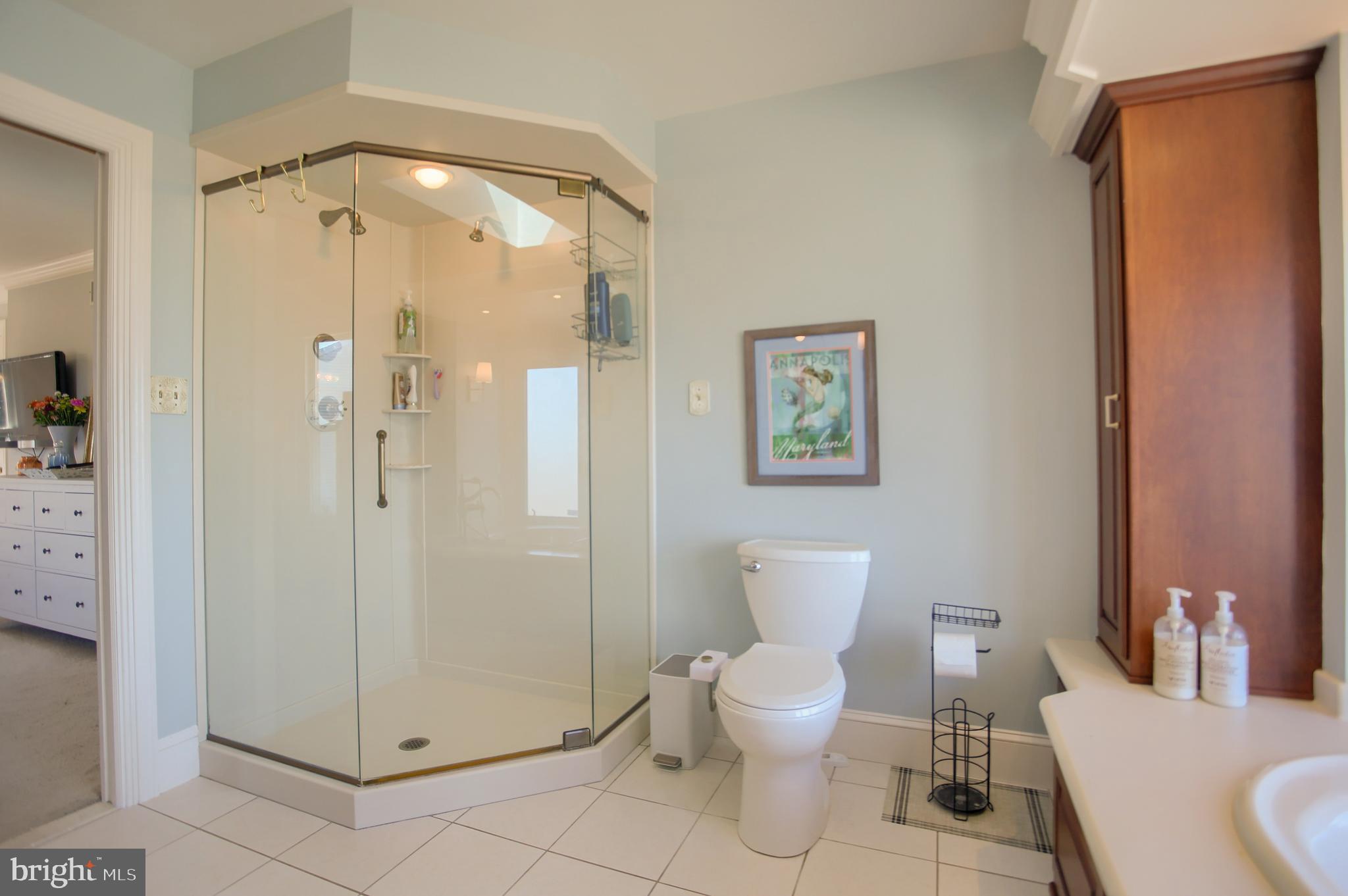 8 Overview Court Reading, PA 19607 - Photo 25 of 36 Primary Bathroom