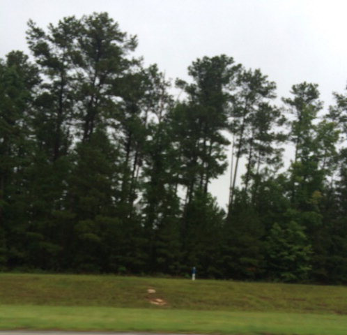 6121 Columbia Road Grovetown, GA 30813 - Photo 1 of 1 Main View