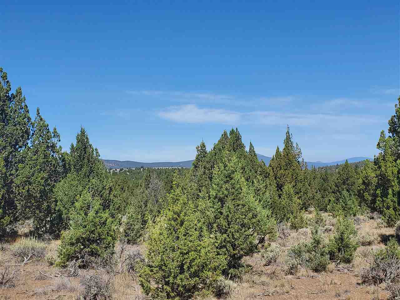 1 Unmarked Road Macdoel, CA 96058 - Photo 17 of 21 Gallery Image 17