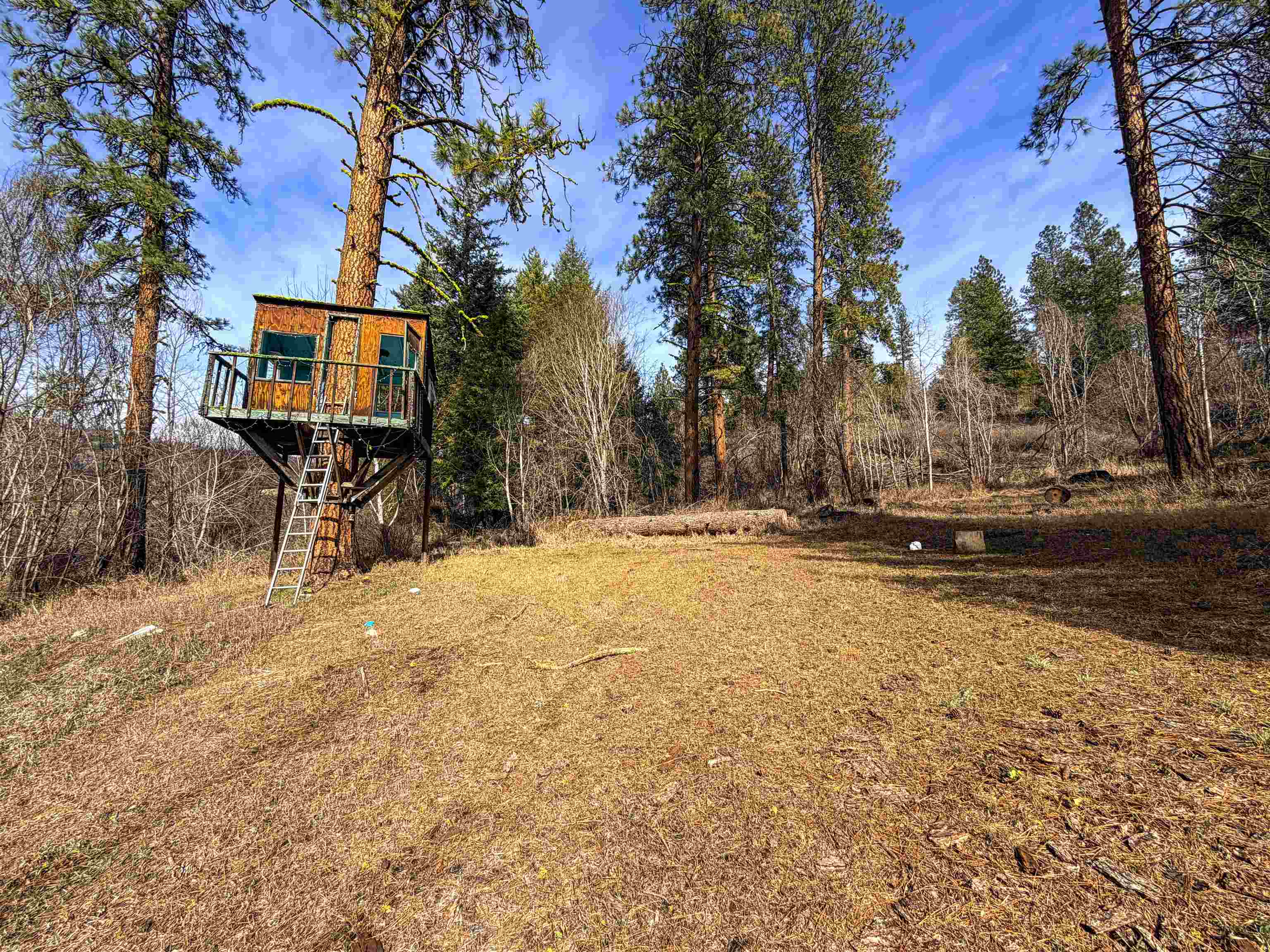 2897 McNitt Road Kettle Falls, WA 99141 - Photo 29 of 42