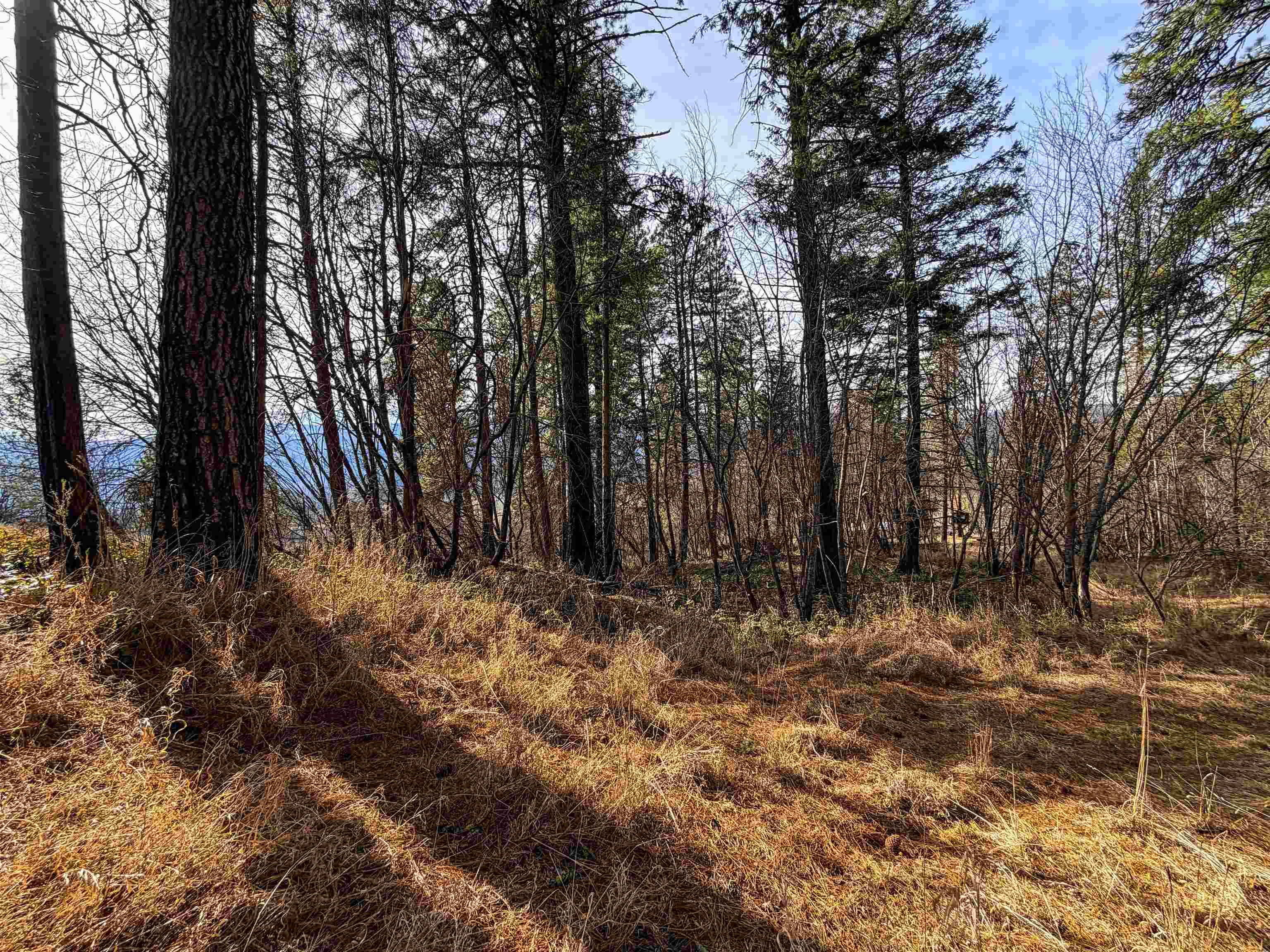 2897 McNitt Road Kettle Falls, WA 99141 - Photo 34 of 42