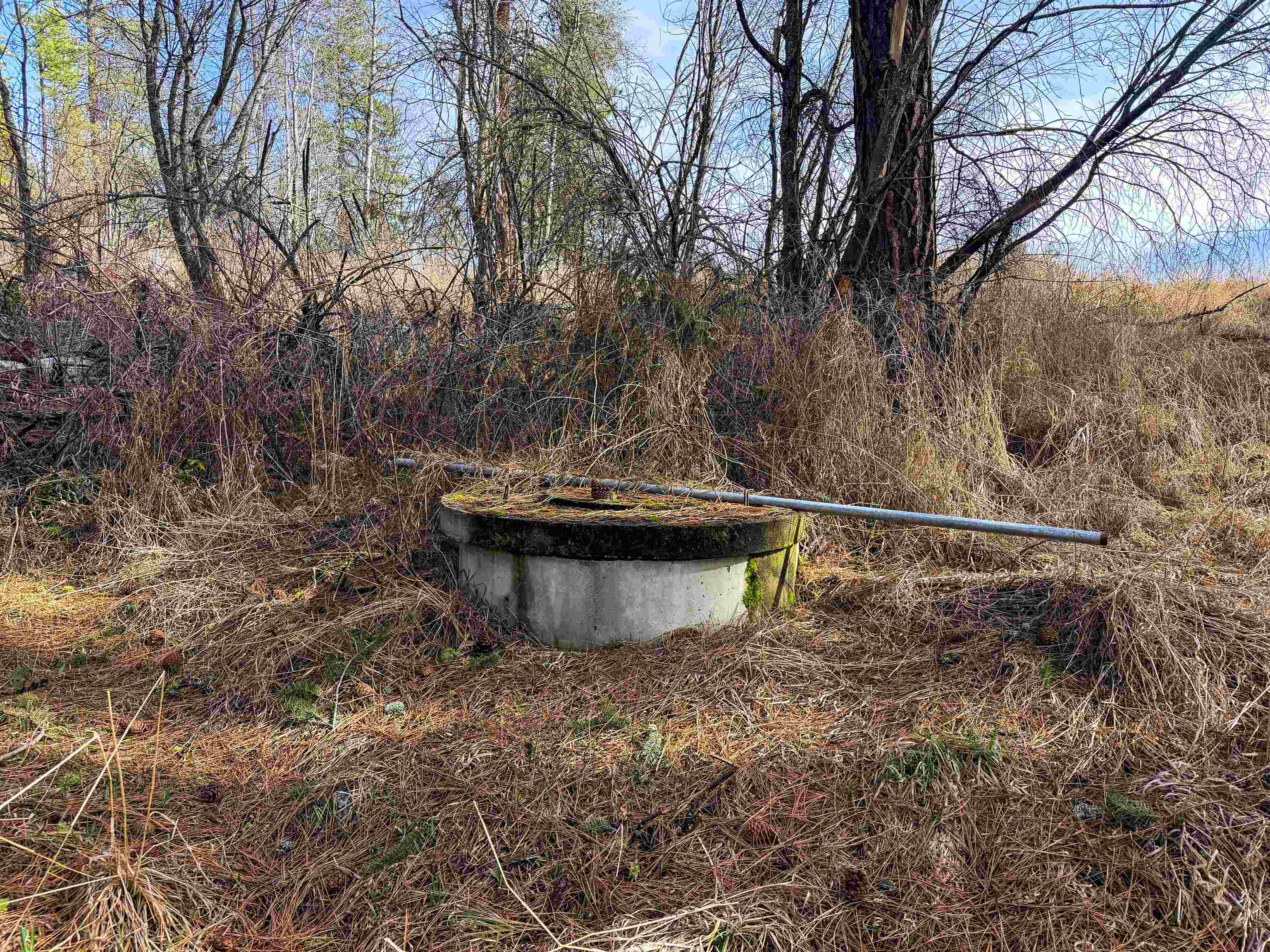 2897 McNitt Road Kettle Falls, WA 99141 - Photo 35 of 42