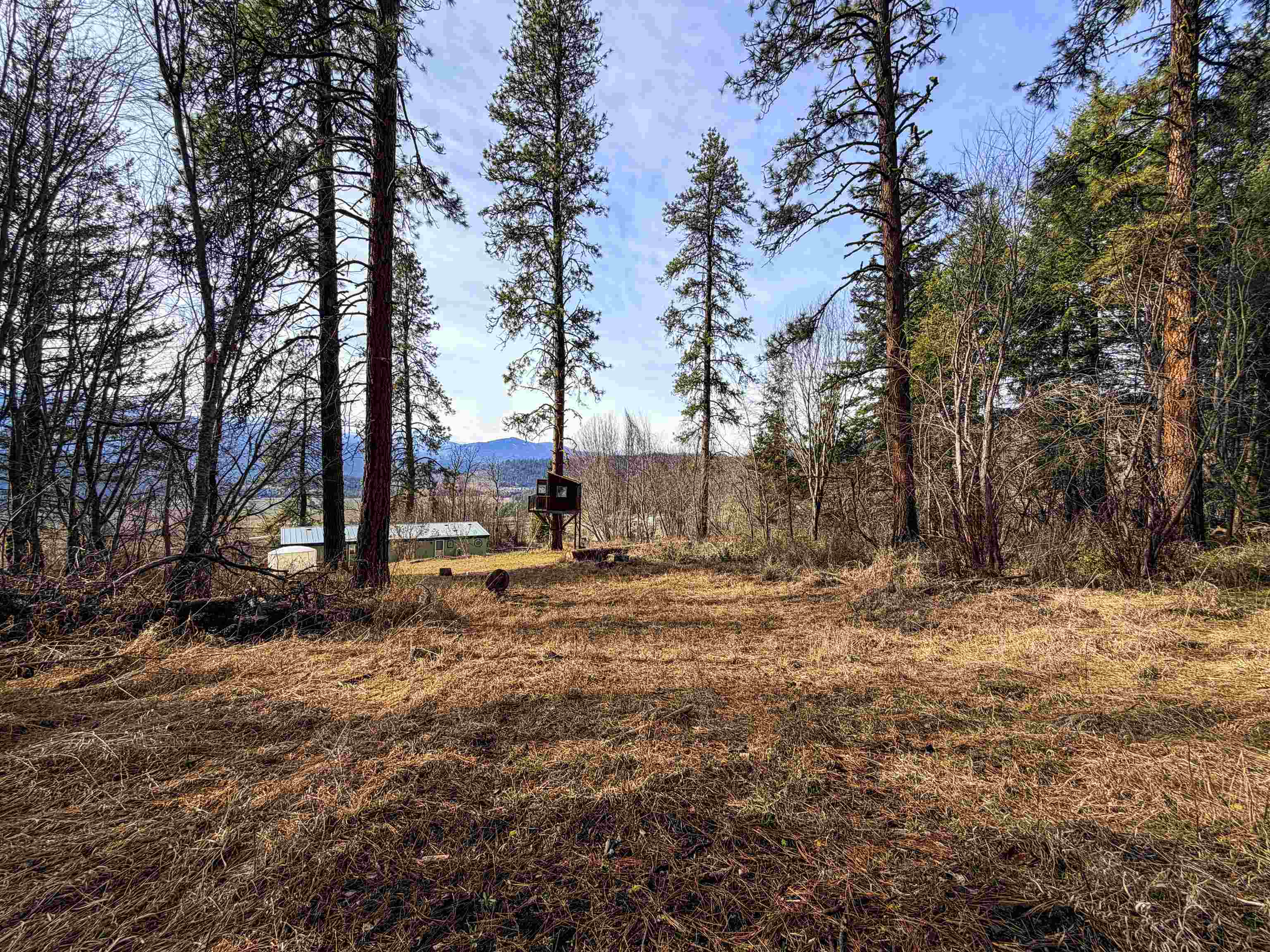 2897 McNitt Road Kettle Falls, WA 99141 - Photo 36 of 42